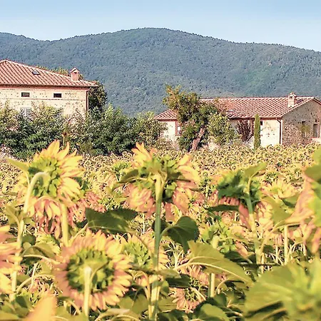 Tulipano Appartement